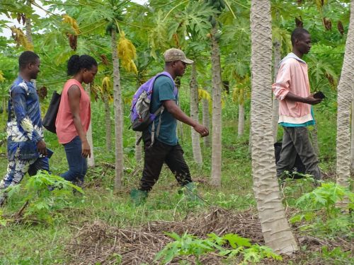 482000577_1044264747735048_5666618269554208821_n