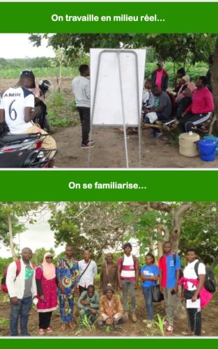 🚜Programme PCEI-EA et Entrepreneuriat agricole: Un secteur d'avenir à explorer ! 🌱